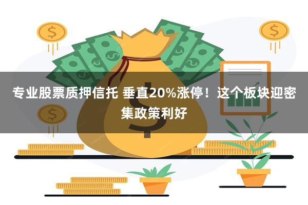 专业股票质押信托 垂直20%涨停！这个板块迎密集政策利好