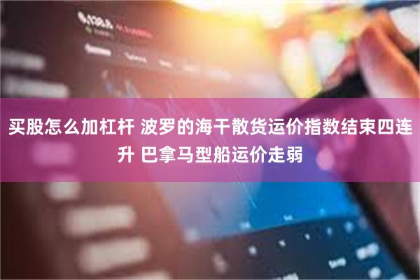 买股怎么加杠杆 波罗的海干散货运价指数结束四连升 巴拿马型船运价走弱