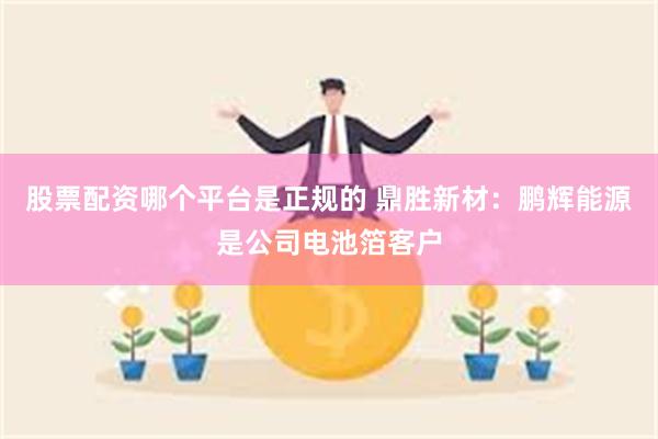 股票配资哪个平台是正规的 鼎胜新材：鹏辉能源是公司电池箔客户