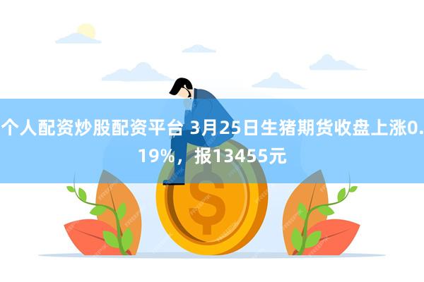 个人配资炒股配资平台 3月25日生猪期货收盘上涨0.19%，报13455元