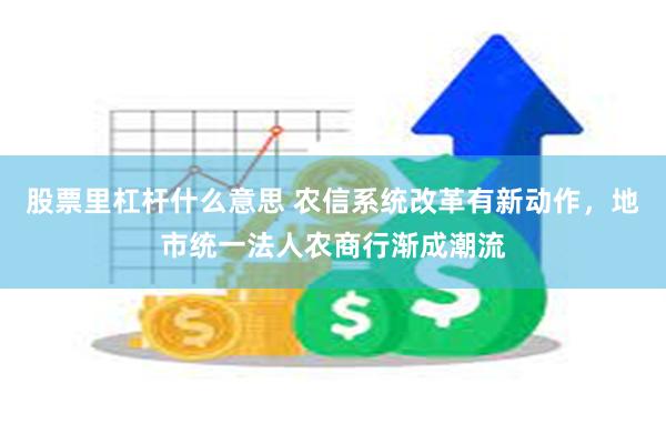 股票里杠杆什么意思 农信系统改革有新动作，地市统一法人农商行渐成潮流