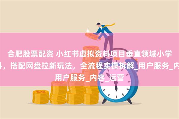合肥股票配资 小红书虚拟资料项目垂直领域小学教辅资料，搭配网盘拉新玩法，全流程实操拆解_用户服务_内容_运营